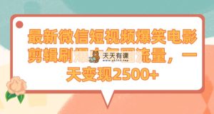 全新微信短视频爆笑电影视频剪辑刷爆了中老年圈总流量，一天转现2500-天天有课网