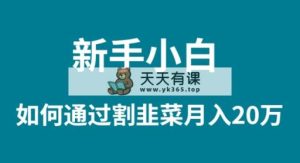 新手入门怎样通过当韭菜割月入 20W-天天有课网