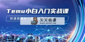 Temu小白入门实战课：跨境拼多多电商培训 快速跑通从入驻到出单全流程-12节-天天有课网