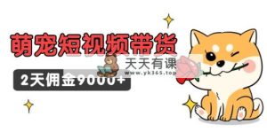 东哲日记·萌宝短视频卖货，2天提成9000-天天有课网