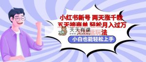 小红书的小号二天涨千粉五天接商单轻轻松松月入了万 没脑子运送游戏玩法 新手也可以轻…-天天有课网