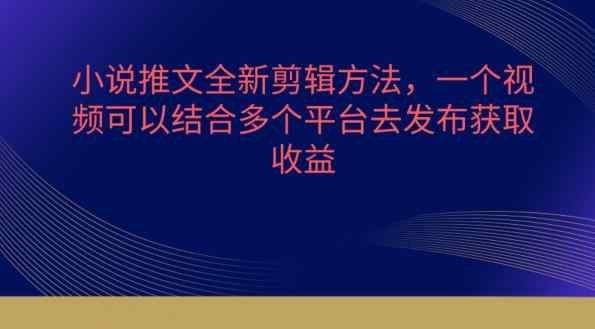 小说推文全新升级剪辑方法，一个视频需要结合各个平台去公布获得【揭密】-天天有课网