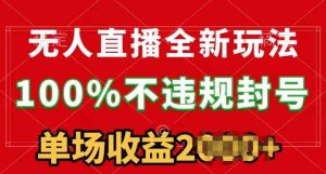 无人直播全新玩法，100%不违规封禁，24钟头持续播-天天有课网
