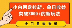 小白网盘引流,单日盈利提升2000 的新玩法-天天有课网