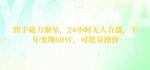 快手磁力聚星，24钟头无人直播，大半年转现60W，可批量处理-天天有课网