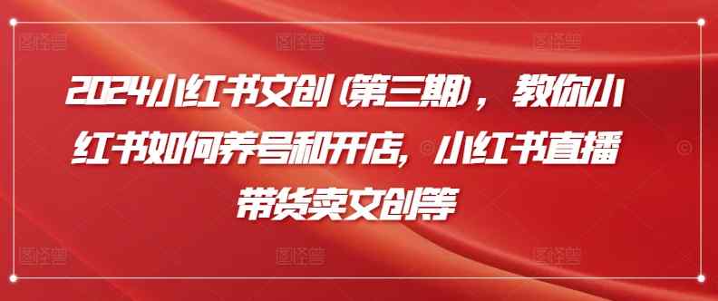 2024小红书文创(第三期)，教你小红书如何养号和开店，小红书直播带货卖文创等-天天有课网