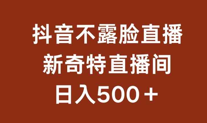 不露脸挂机直播，新奇特直播间，日入500+【揭秘】-天天有课网
