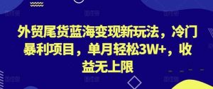 外贸尾货蓝海变现新玩法，冷门暴利项目，单月轻松3W+，收益无上限【揭秘】-天天有课网