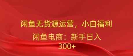 闲鱼平台无货源电商经营，新手褔利，日入300加-天天有课网