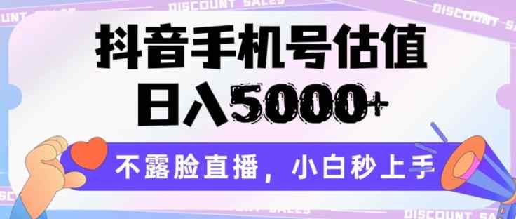 抖音手机号公司估值，日入5000 ，不露脸直播，新手秒入门【揭密】-天天有课网