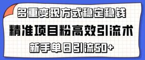 精确新项目粉高效率引流术，初学者单日引流方法50 ，多种变现模式稳定赚钱【揭密】-天天有课网