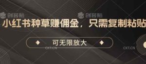 小红书种草手机赚钱，仅需拷贝，可放大化-天天有课网