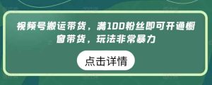 微信视频号运送卖货,满100粉丝们就可以开启橱窗展示卖货,游戏玩法非常暴力【揭密】-天天有课网