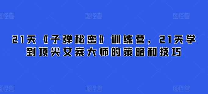 21天《子弹秘密》夏令营，21天学习到顶尖文案高手的思路与技巧-天天有课网