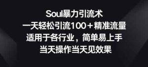 Soul暴力引流术,一天轻松引流100+精准流量,适用于各行业,简单易上手-天天有课网