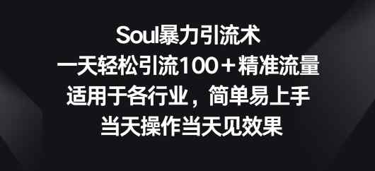 Soul暴力引流术，一天轻松引流100＋精准流量，适用于各行业，简单易上手-天天有课网