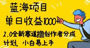 蓝海项目单日盈利1000 ,2.0全新生态撸原创者分为方案,新手上手快-天天有课网