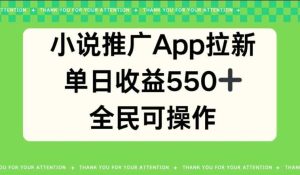 小说推广APP拉新,单日收益550,全民可操作-天天有课网