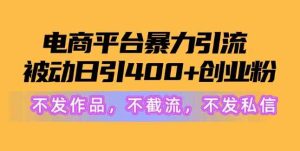 电商平台暴力引流，被动日引400+创业粉不发作品，不截流，不发私信-天天有课网