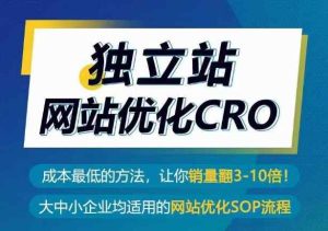 自建站seo优化CRO,成本最低的方式,使你销售量翻3-10倍-天天有课网