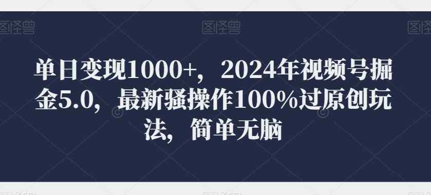 单日变现1000+，2024年视频号掘金5.0，最新骚操作100%过原创玩法，简单无脑，小白专属-天天有课网