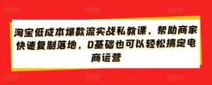 淘宝低成本爆款流实战私教课，帮助商家快速复制落地，0基础也可以轻松搞定电商运营-天天有课网