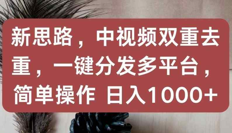 新思路，中视频双重去重，一键分发多平台，简单操作，日入1000+【揭秘】-天天有课网