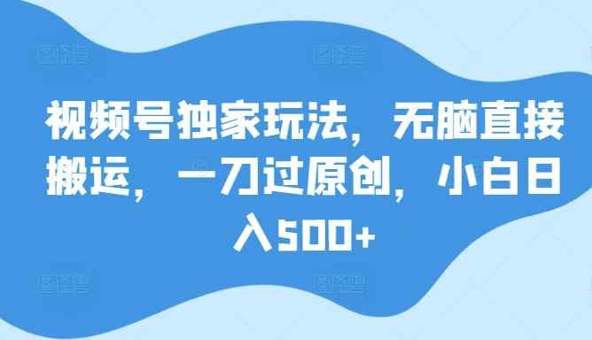 视频号独家玩法，无脑直接搬运，一刀过原创，小白日入500+-天天有课网