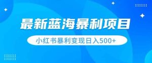最新暴利蓝海项目,小红书图文变现,轻松实现日收益500+-天天有课网