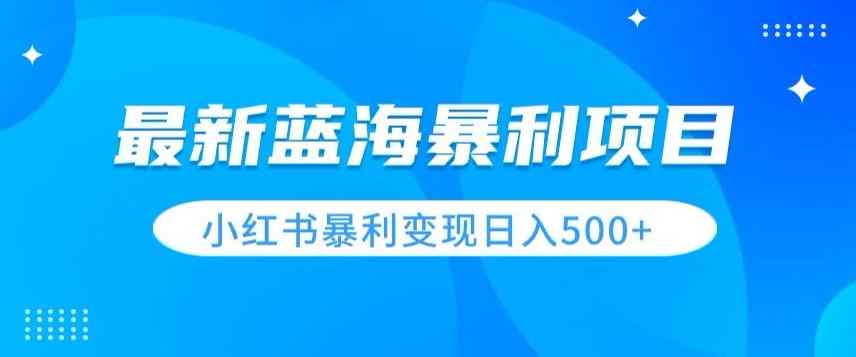 最新暴利蓝海项目，小红书图文变现，轻松实现日收益500+-天天有课网