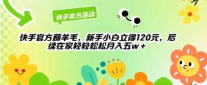 快手官方薅羊毛新手小白立得120元,后续在家轻轻松松5w-暖阳网-中创网,福缘网,冒泡网资源整合-天天有课网