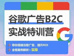 谷歌广告B2C实战特训营，500+谷歌账户总结经验，实战演示如何从0-1搭建广告账户-暖阳网-中创网,福缘网,冒泡网资源整合-天天有课网
