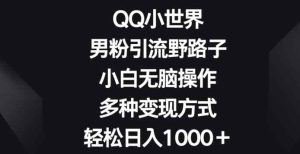 QQ小世界男粉引流野路子,小白无脑操作,多种变现方式轻松日入1000+-天天有课网