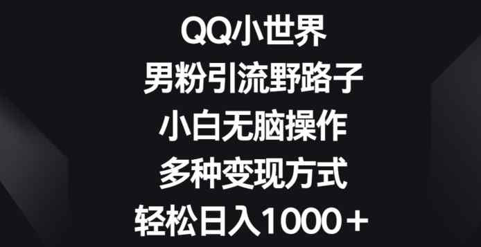 QQ小世界男粉引流野路子，小白无脑操作，多种变现方式轻松日入1000+-天天有课网