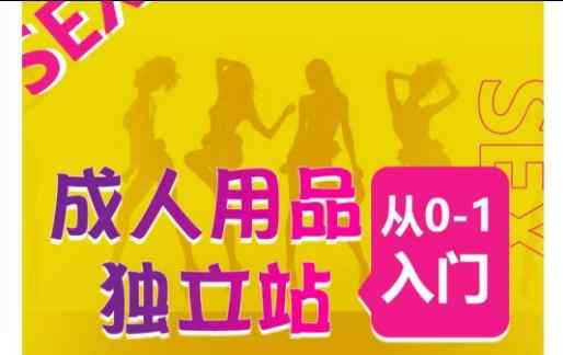 成人用品独立站从0-1入门，成品独立站运营全流程教学，七大好卖成品独立站推荐-天天有课网