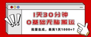 1天30分钟,0基础无脑搬运,批量生成,最高1天1000+?-天天有课网