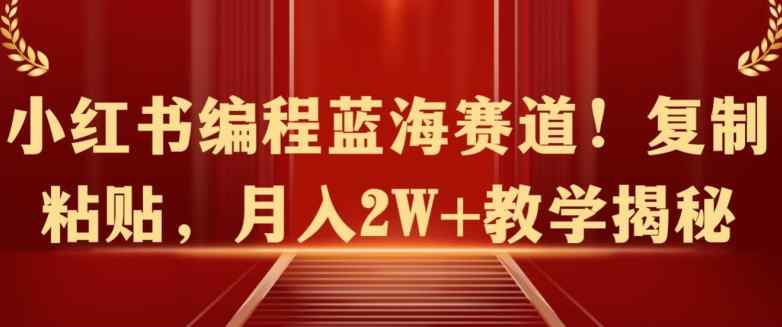 小红书编程蓝海赛道!复制粘贴，月入2W+教学揭秘-天天有课网