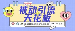 全网首发被动引流天花板 日引500+创业粉-天天有课网