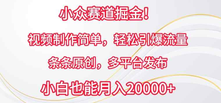 小众赛道掘金，视频制作简单，轻松引爆流量，条条原创，多平台发布【揭秘】-天天有课网