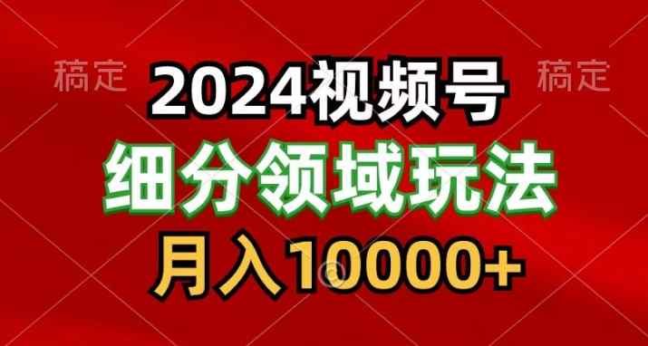 2024视频号分成计划细分领域爆款搬运玩法，每天5分钟，月入1W+-天天有课网