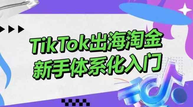 TikTok出海淘金，新手体系化入门，零基础快速入门，掌握短视频、直播带货等引流到变现的知识-天天有课网