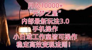 月入10000+“元梦之星”内部最新玩法3.0.手机操作，小白工作室皆可操作，稳定高效变现法则!-天天有课网
