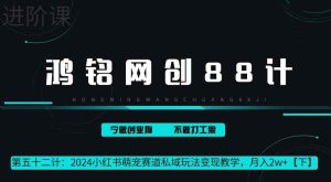 鸿铭网创88计第52计:2024小红书萌宠赛道私域玩法变现教学,月入2w+【下】-天天有课网