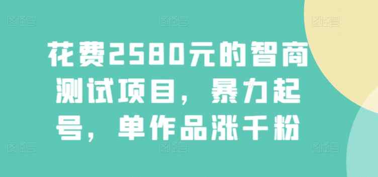 花费2580元的智商测试项目，暴力起号，单作品涨千粉-天天有课网