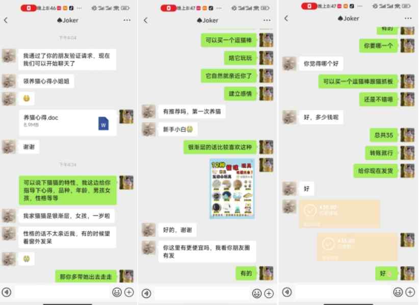 鸿铭网创88计第52计：2024小红书萌宠赛道私域玩法变现教学，月入2w+【下】