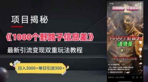 一千个野路子信息差最新玩法教程-变现+引流的玩法具体拆解【揭秘】-天天有课网