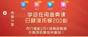 “零基础开启赚钱新时代，学会在闲鱼卖课、日精准拓客200粉-天天有课网