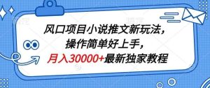 风口项目小说推文新玩法,操作简单好上手,月入30000+最新独家教程-天天有课网