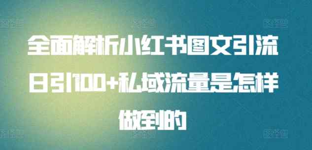 全面解析小红书图文引流日引100+私域流量是怎样做到的【揭秘】-天天有课网
