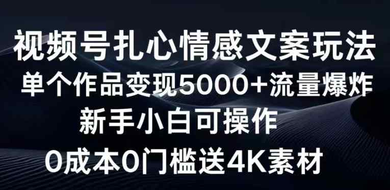 视频号扎心情感文案玩法，单个作品变现5000+，流量爆炸，两分钟一条作品-天天有课网